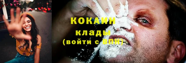 крисы Белоозёрский