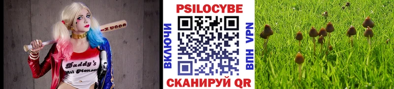 Псилоцибиновые грибы MAGIC MUSHROOMS  Гулькевичи 