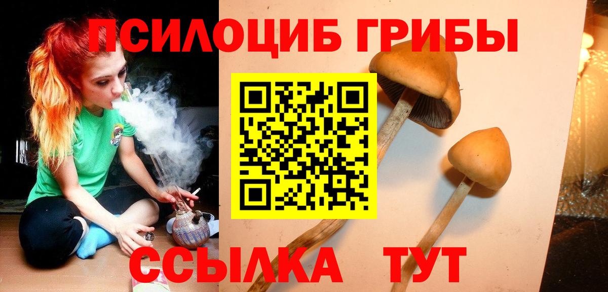 Галлюциногенные грибы MAGIC MUSHROOMS Гулькевичи